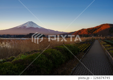 Autumn Colors and Mount Fuji from Oishi Park Pathway 126874745