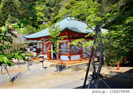 宇宙エネルギーが降注ぎ京の都の鬼門を護り護法魔王尊を奉安する… 鞍馬寺『光明心殿』 126874840