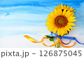 ひまわりと黄色いリボン 126875045