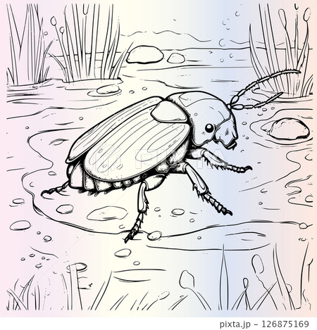 Water Beetle Coloring Page For Kids  126875169