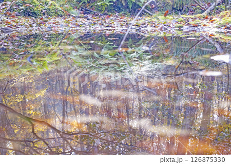 森の秋色イメージ　恩原湖周辺 126875330