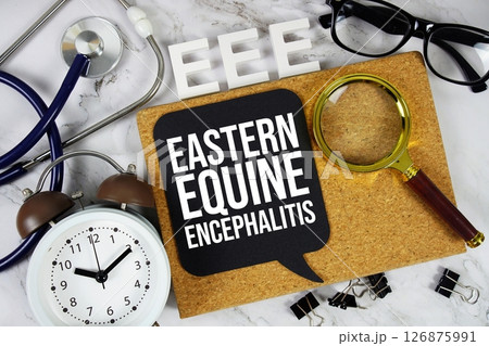 EEE Eastern Equine Encephalitis acronym with stethoscope, magnifying glass and alarm clock medical and healthcare concept background EEE Eastern Equine Encephalitis acronym with stethoscope, magnifying glass and alarm clock medical and healthcare concept background 126875991