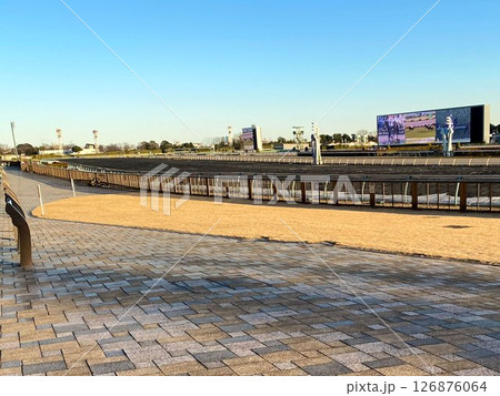 夕暮れの府中東京競馬場  126876064