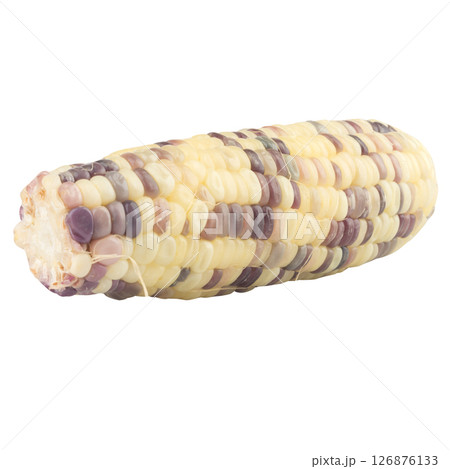 waxy corn isolated on white background 126876133