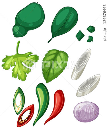Colorful Herb and Spice Vector Illustration 126876468