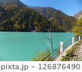 エメラルド色に輝く高瀬ダム湖に沈んだ木 126876490