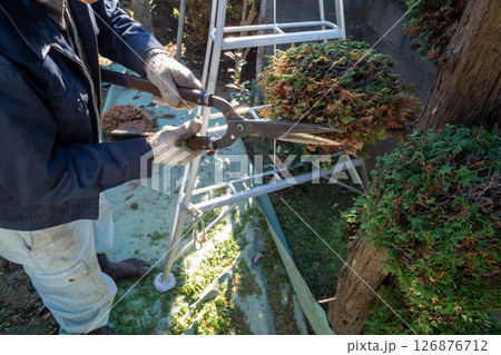 庭師 庭師 126876712