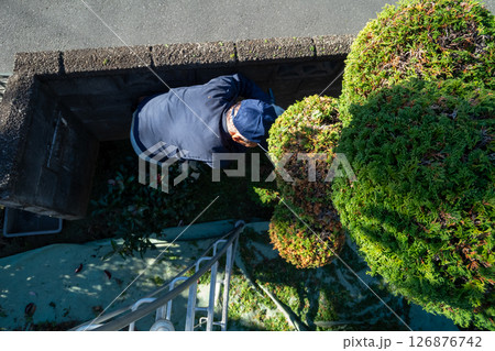 庭師 庭師 126876742