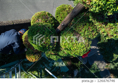 庭師 庭師 126876746