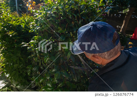 庭師 126876774