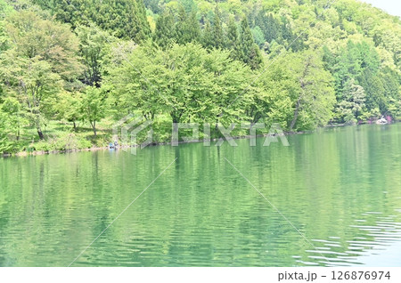 緑豊かな初夏の中綱湖 緑豊かな初夏の中綱湖 126876974