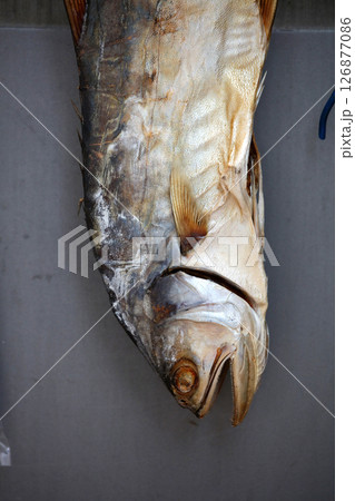 香港・徳輔道西で売られる塩干し魚(ハムユイ)。クサヤに似ていで臭いが美味。かつては安かったが今は高価 香港・徳輔道西で売られる塩干し魚(ハムユイ)。クサヤに似ていで臭いが美味。かつては安かったが今は高価 126877086