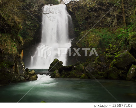 春の秋田県　金峰神社境内にある奈曽の白滝 126877108