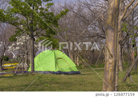 公園にテントを張ってのんびりと過ごす 126877159