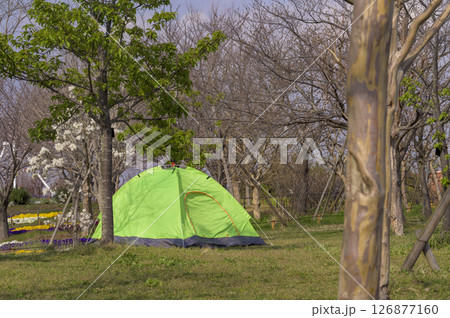 公園にテントを張ってのんびりと過ごす 126877160