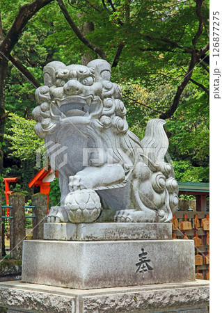 春日山神社（上越） 126877275