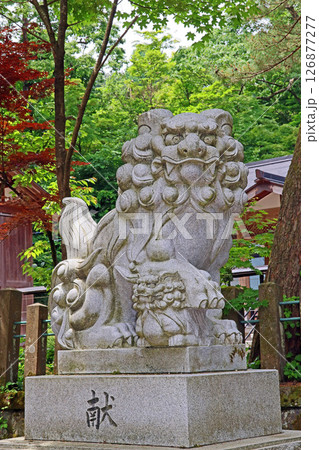春日山神社（上越） 126877277