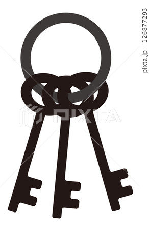 シンプルな鍵のベクターイラスト 126877293