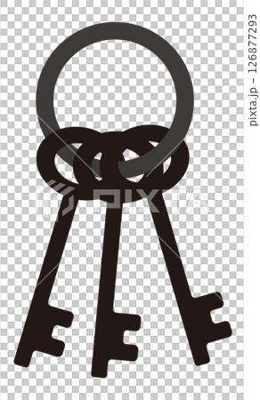 シンプルな鍵のベクターイラスト 126877293