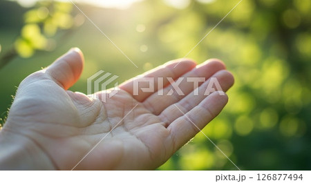 太陽にかざした手 126877494