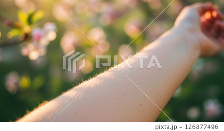 太陽にかざした手 126877496