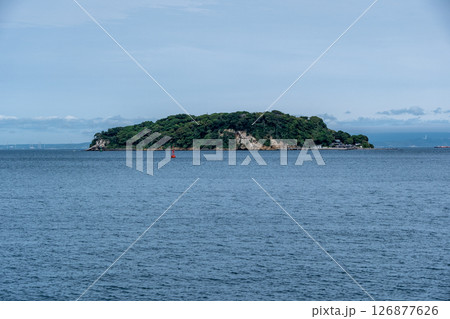 猿島全景 三笠公園から見た風景 猿島全景 三笠公園から見た風景 126877626