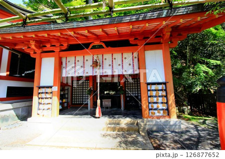 宇宙エネルギーが降注ぎ京の都の鬼門を護る… 鞍馬寺『閼伽井護法善神社』 宇宙エネルギーが降注ぎ京の都の鬼門を護る… 鞍馬寺『閼伽井護法善神社』 126877652