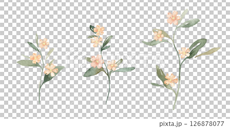 Watercolor set of pink flowers spots and green leaves. Hand drawn illustration buds on isolated white background. Soft pastel iridescent watercolors. Watercolor set of pink flowers spots and green leaves. Hand drawn illustration buds on isolated white background. Soft pastel iridescent watercolors. 126878077