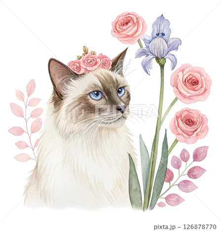 Cute cat wearing a crown of flowers clipart watercolor white background  126878770