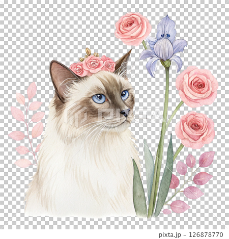 Cute cat wearing a crown of flowers clipart watercolor white background  126878770