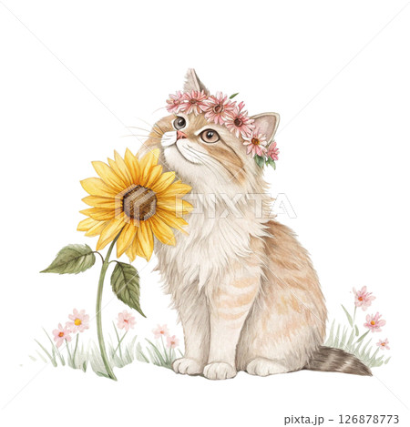 Cute cat wearing a crown of flowers clipart watercolor white background  Cute cat wearing a crown of flowers clipart watercolor white background  126878773