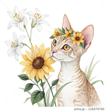 Cute cat wearing a crown of flowers clipart watercolor white background  126878780