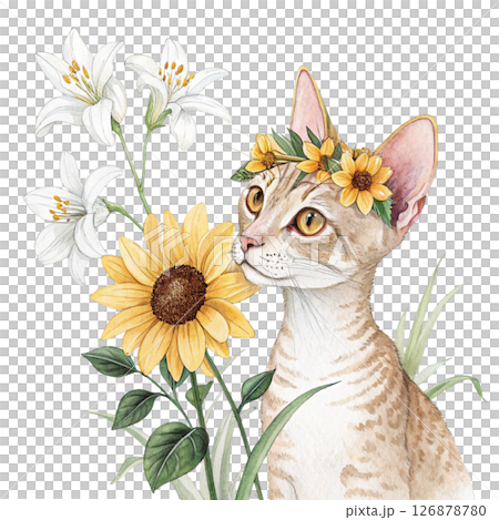 Cute cat wearing a crown of flowers clipart watercolor white background  126878780
