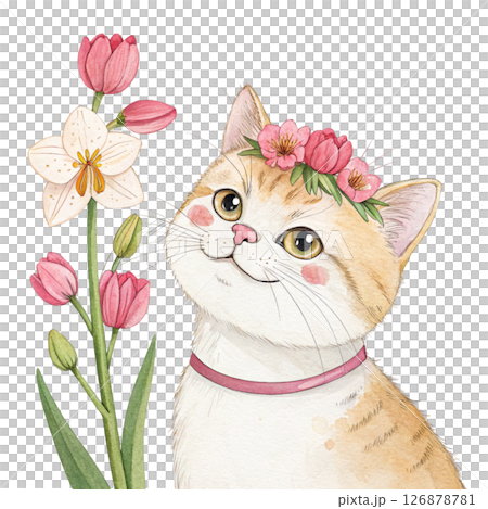 Cute cat wearing a crown of flowers clipart watercolor white background  126878781