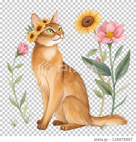 Cute cat wearing a crown of flowers clipart watercolor white background  126878807