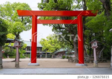 長田神社 東鳥居 長田神社 東鳥居 126878815