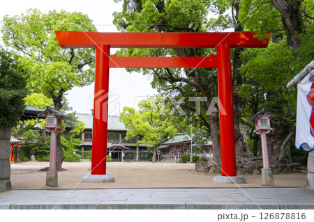 長田神社 東鳥居 長田神社 東鳥居 126878816