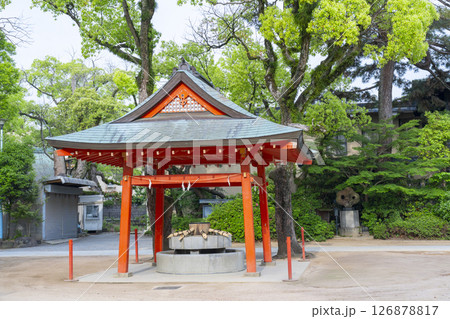 長田神社 手水舎 長田神社 手水舎 126878817