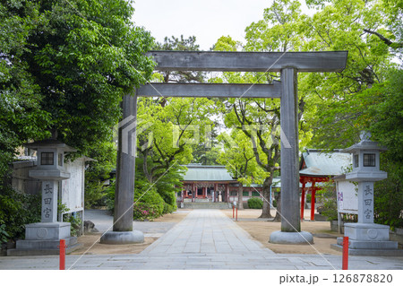 長田神社 西鳥居から見える神門と拝殿 長田神社 西鳥居から見える神門と拝殿 126878820