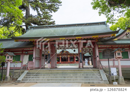 長田神社　神門から見える拝殿 126878824