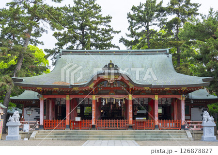 長田神社 拝殿 長田神社 拝殿 126878827