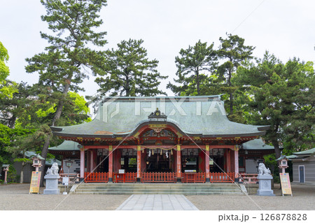 長田神社 拝殿 長田神社 拝殿 126878828
