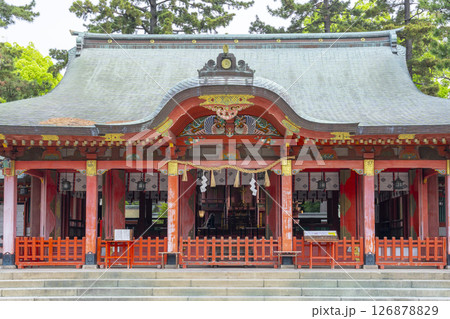 長田神社　拝殿 126878829