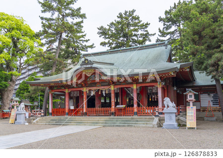 長田神社 拝殿 長田神社 拝殿 126878833