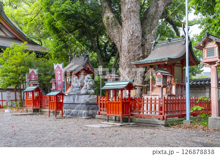 長田神社　蛭子社・出雲社 126878838