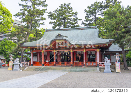 長田神社　拝殿 126878856