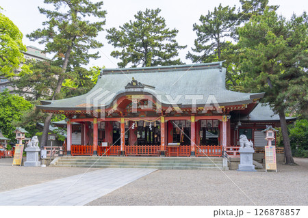 長田神社 拝殿 長田神社 拝殿 126878857