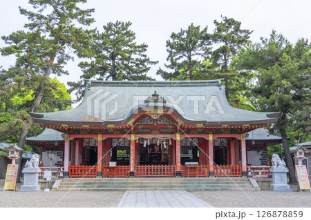 長田神社 拝殿 長田神社 拝殿 126878859