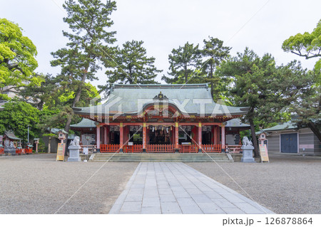 長田神社 拝殿 長田神社 拝殿 126878864