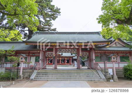長田神社 神門から見える拝殿 長田神社 神門から見える拝殿 126878866